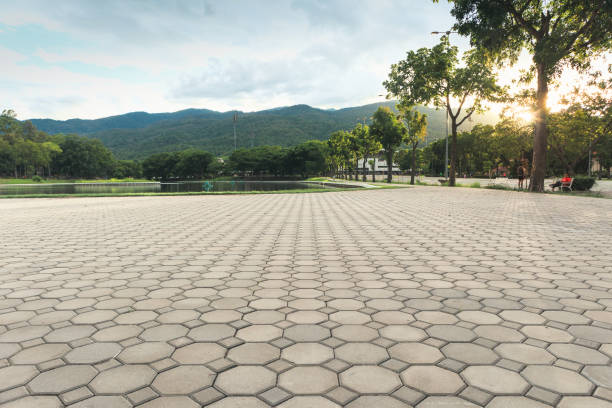 Professional Driveway Pavers in Holgate, OH